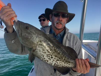 Angling Adventures Gag Grouper